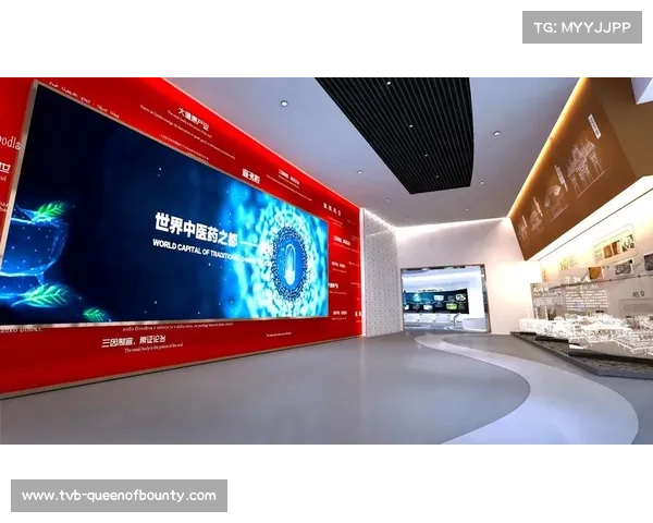 媒体内容多元化满足不同观众需求，提升观看体验