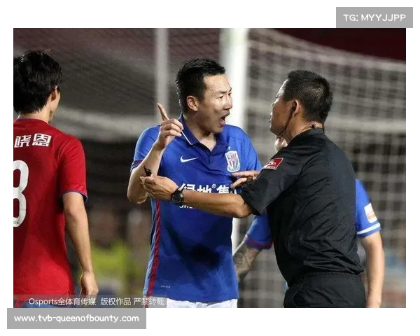 德甲裁判培训体系：从选拔到执法的专业化进程分析